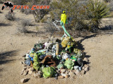img_0069-1000