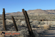 img_5487-1000