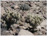mex12_06