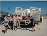 mex29_06
