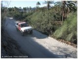 mex2_06