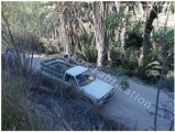 mex30_06