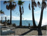 mex34_06