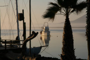 race-pics-08-039