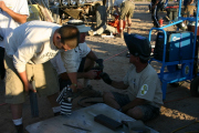 2009-baja-500-189