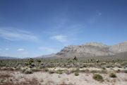 img_1490