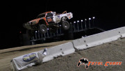 loorrs-bee-hive-4-1000