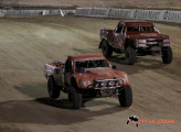 loorrs-bee-hive-5-1000