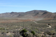 img_1963-1000