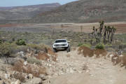 img_1966-1000