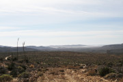 img_2000-1000