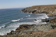 img_2687-1000