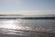 img_2796-1000