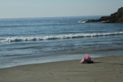 img_2799-1000