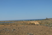 img_2808-1000