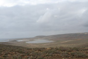 img_2968-1000