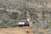 img_3104-1000