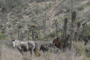 img_3168-1000