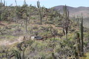 img_3219-1000