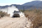 img_3235-1000