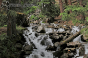2014-fj-summit-colorado-tacoma-4x4-toyota-alpine-loop-036-29