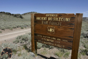 1_lm-article-nv-13-5_2013-16-1000