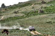 1_lm-article-nv-13-5_2013-2-1000
