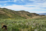1_lm-article-nv-13-5_2013-7-1000
